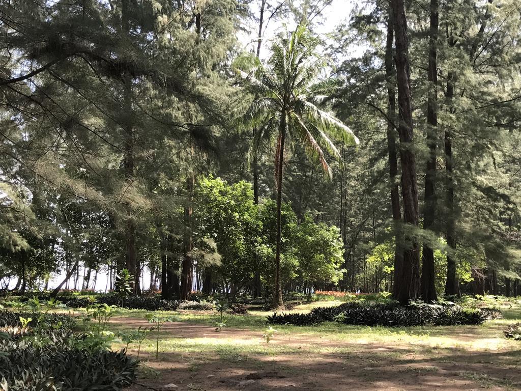 Coconut Bungalow Nai Yang Beach Εξωτερικό φωτογραφία